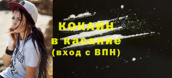 шишки Медвежьегорск