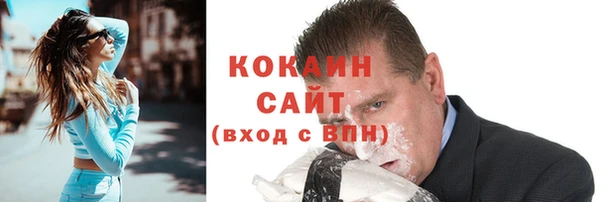 шишки Медвежьегорск