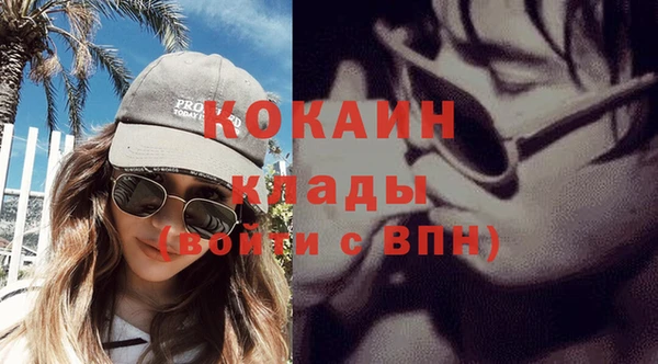 шишки Медвежьегорск