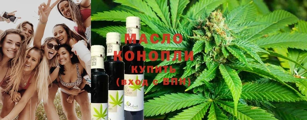 шишки Медвежьегорск