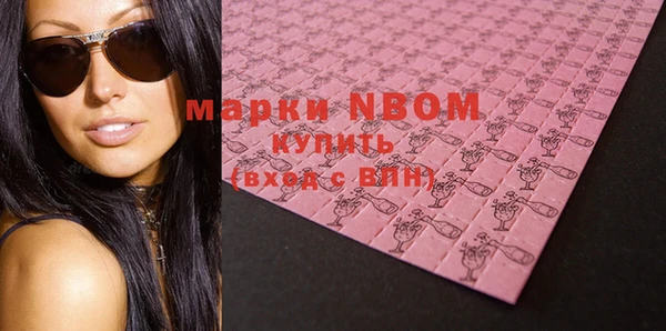 шишки Медвежьегорск