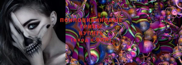 шишки Медвежьегорск