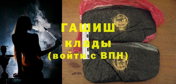 шишки Медвежьегорск