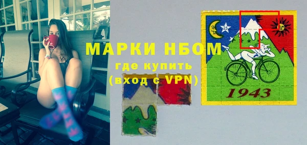 шишки Медвежьегорск